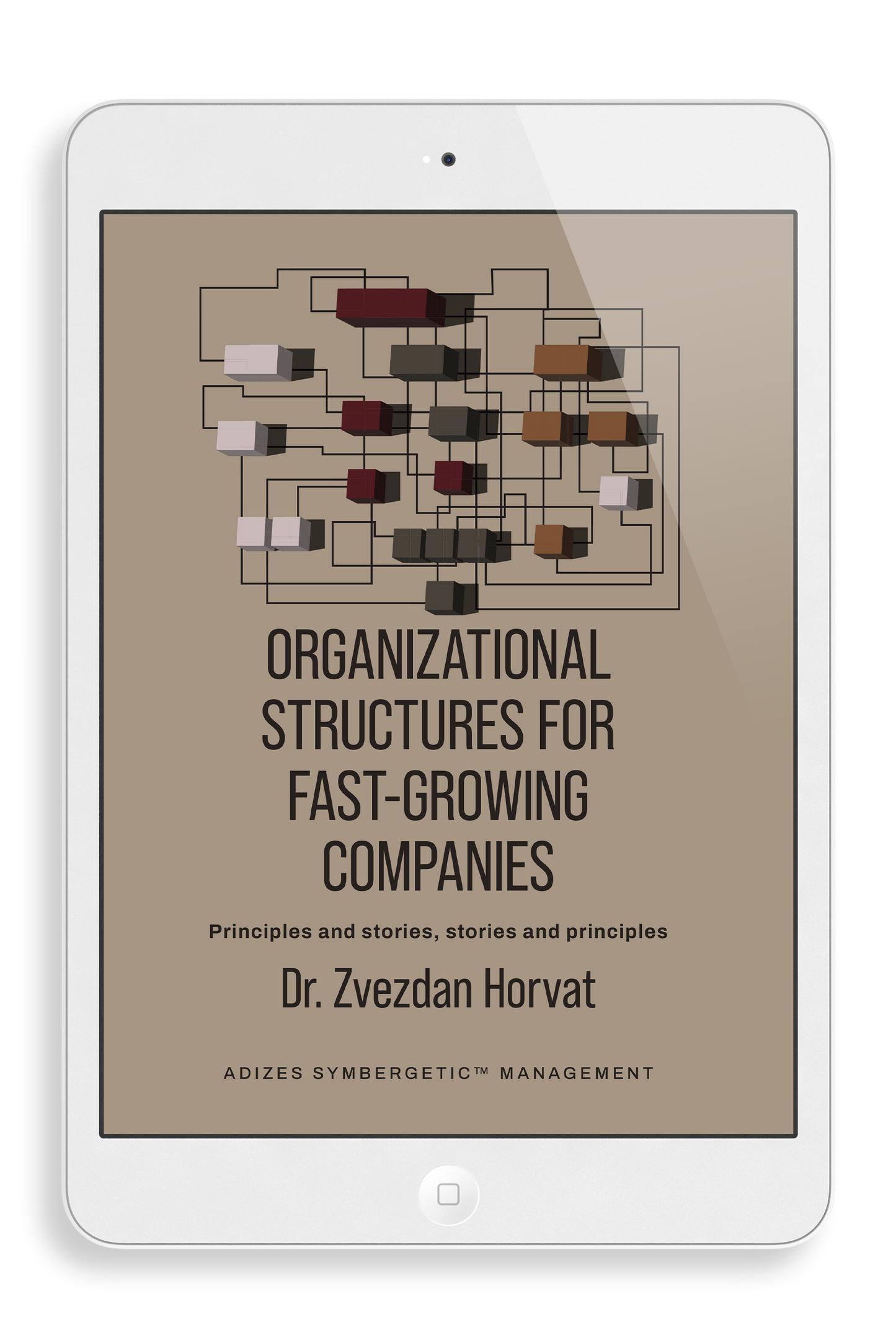 Organizational Structures for Fast-Growing Companies (English) - Ebook