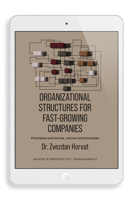 Organizational Structures for Fast-Growing Companies (English) - Ebook