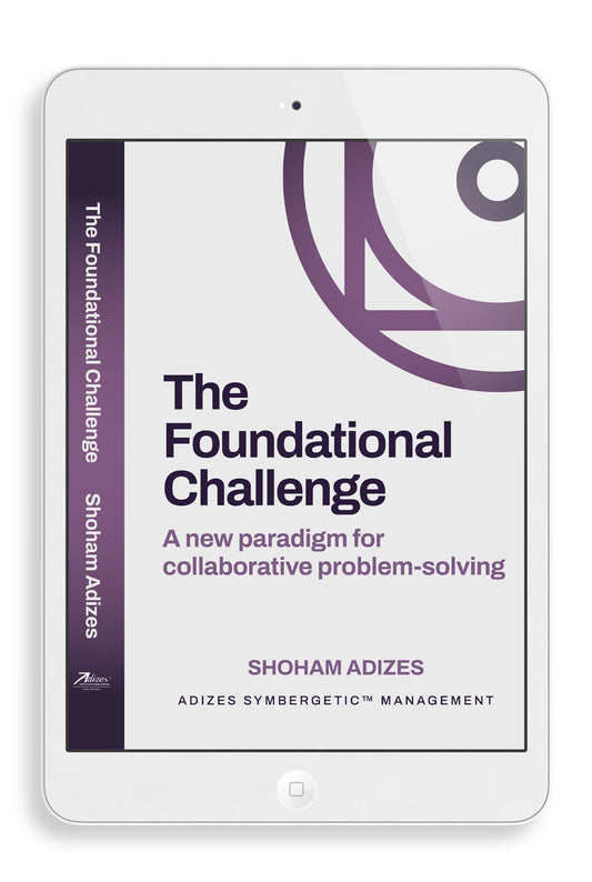 The Foundational Challenge (English) (e-Book)
