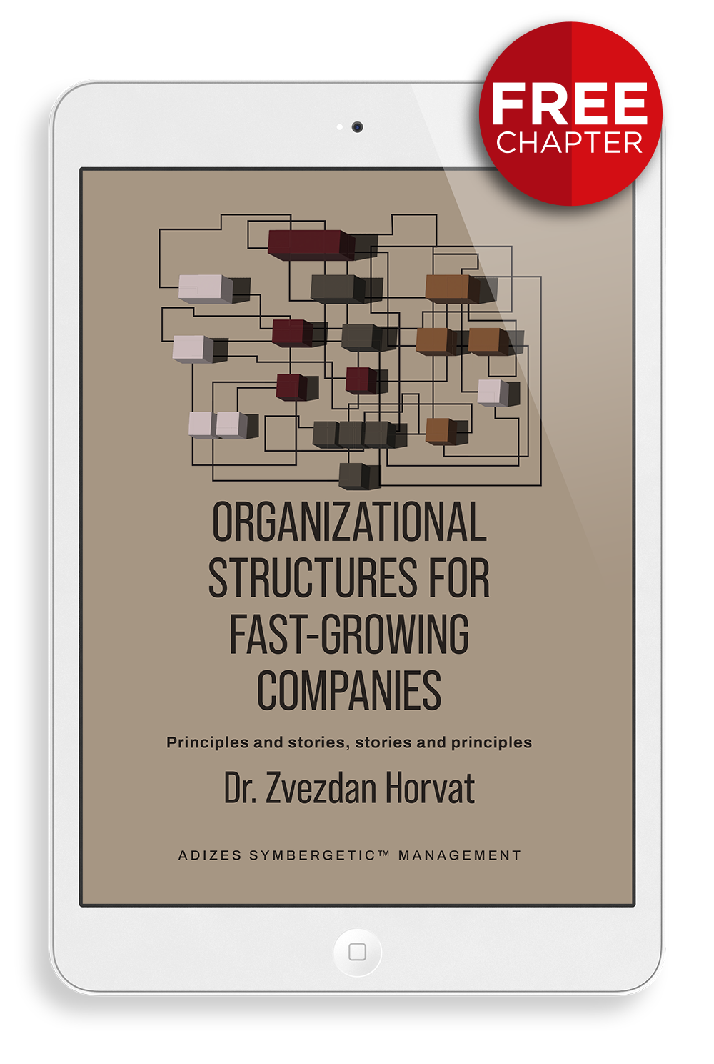 Organizational Structures for Fast-Growing Companies - Free Chapter