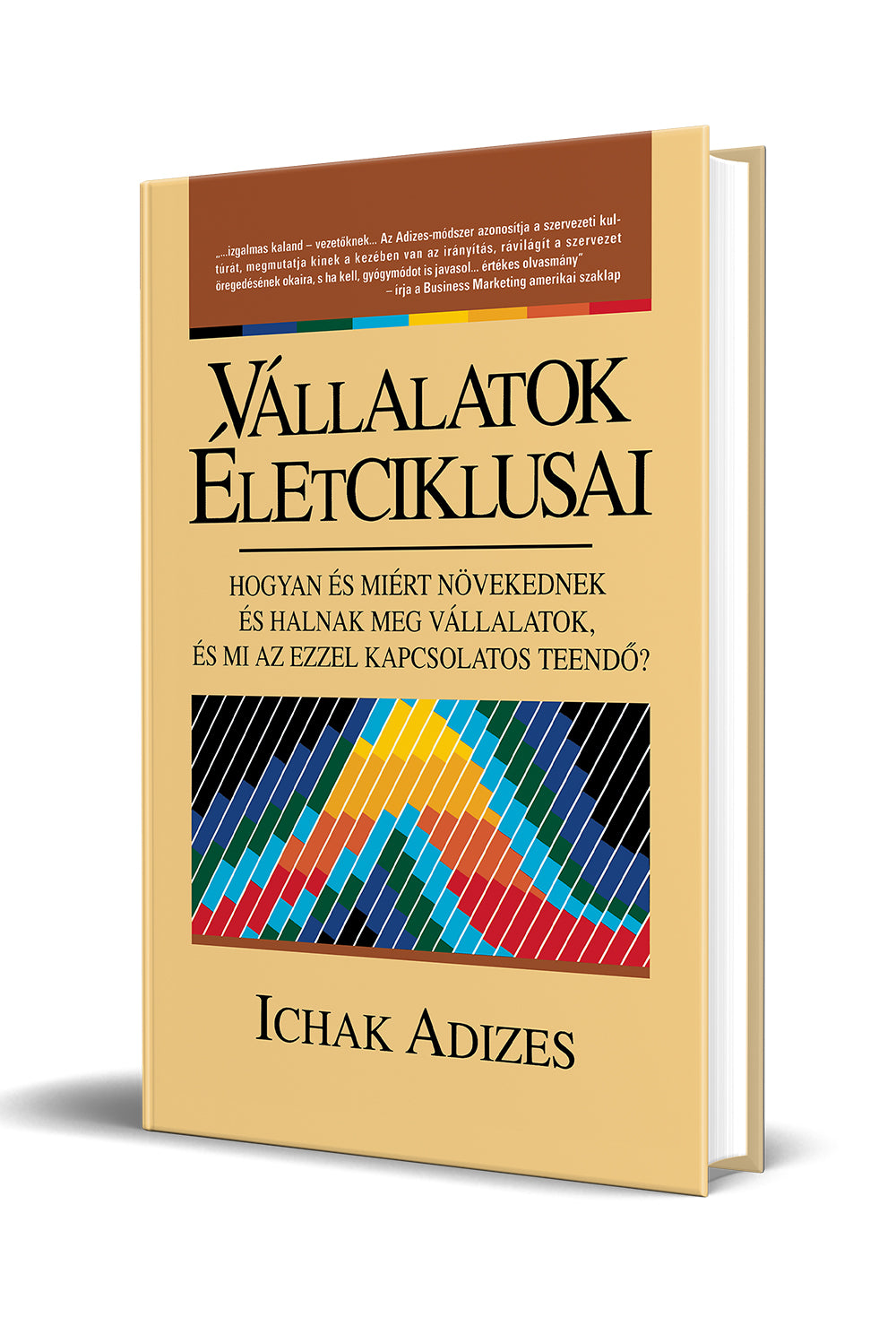 Vállalatok életciklusai (Hungarian)