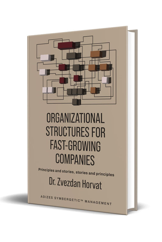 Organizational Structures for Fast-Growing Companies (English)