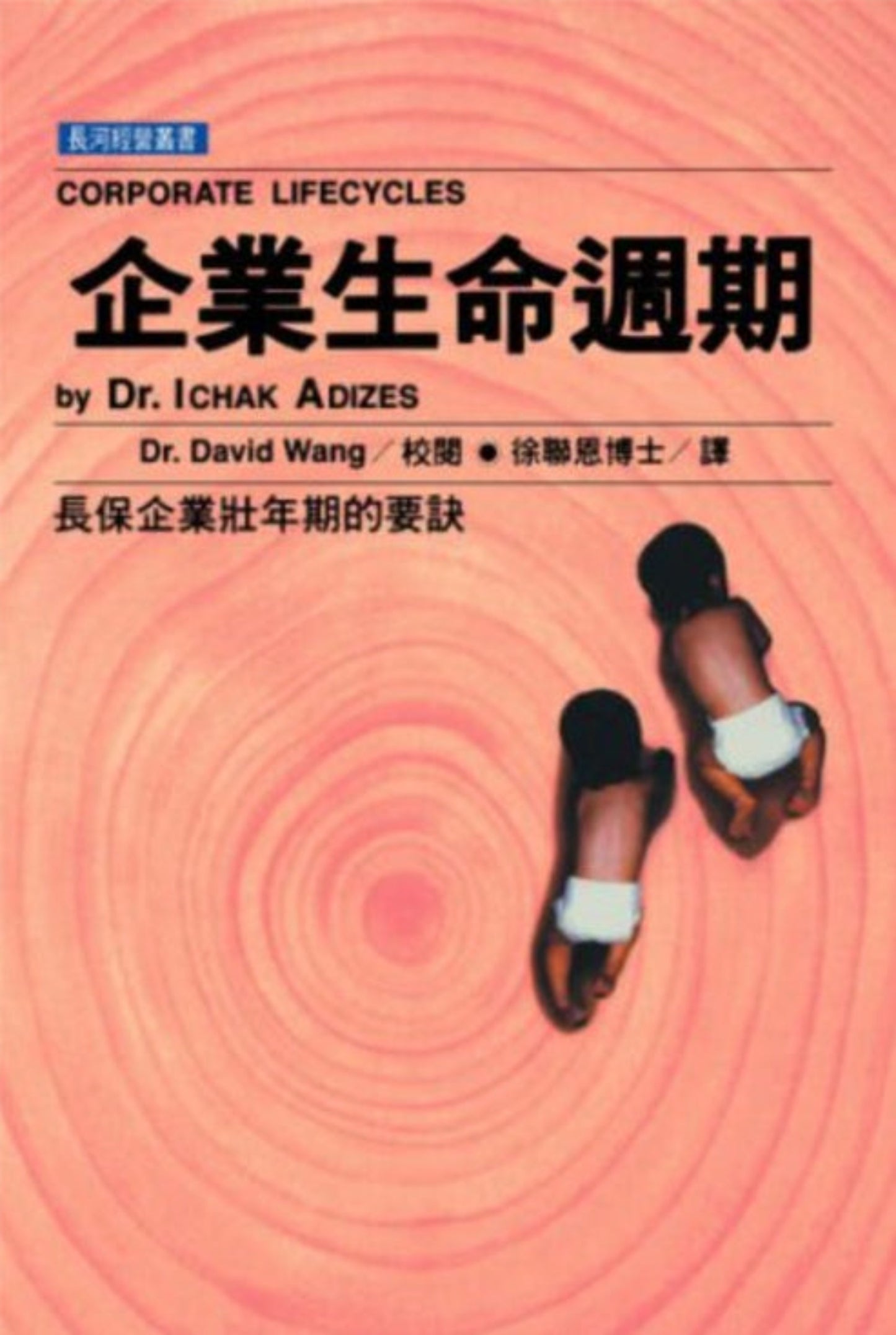 企業生命週期 (Taiwanese)