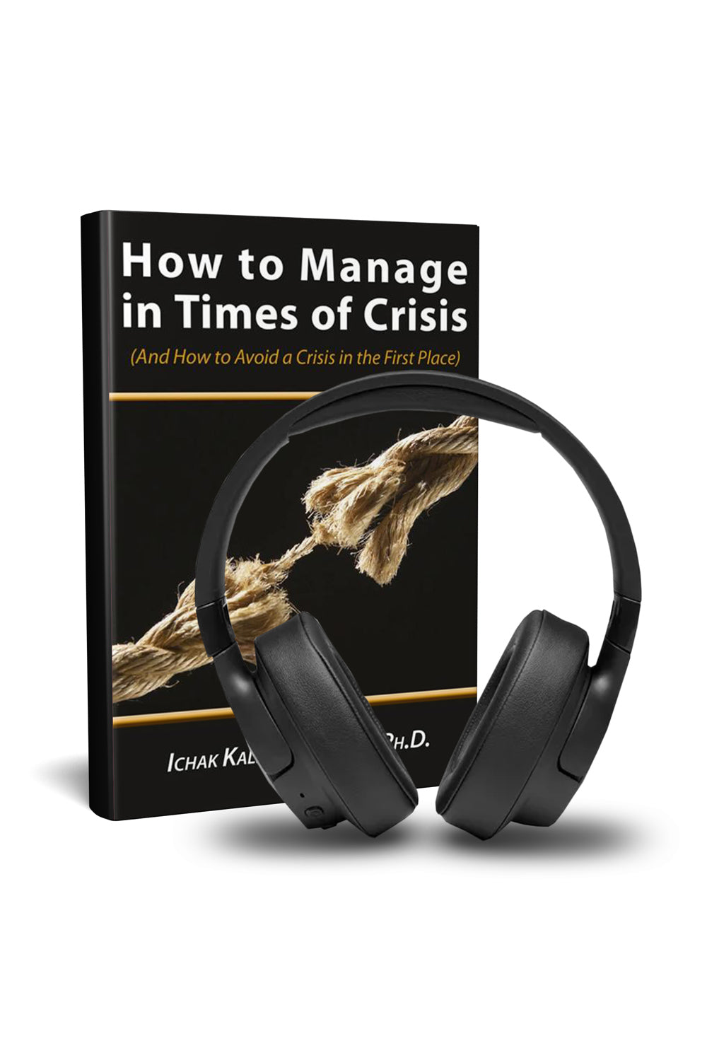 How to Manage in Times of Crisis (English) (Audio Book)
