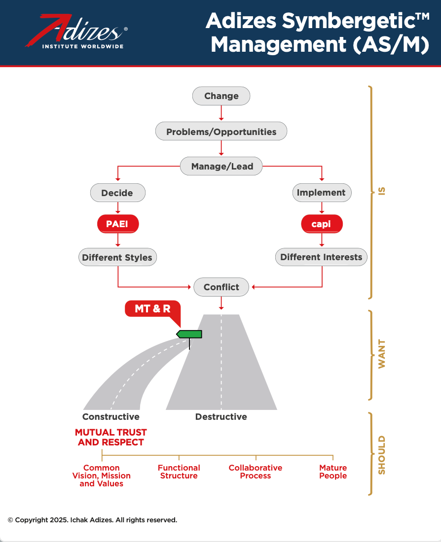 Adizes Management Map (Poster) (English)