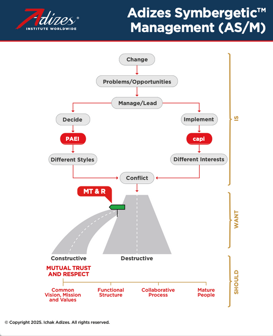 Adizes Symbergetic™ Management (AS/M) (Poster) (English)