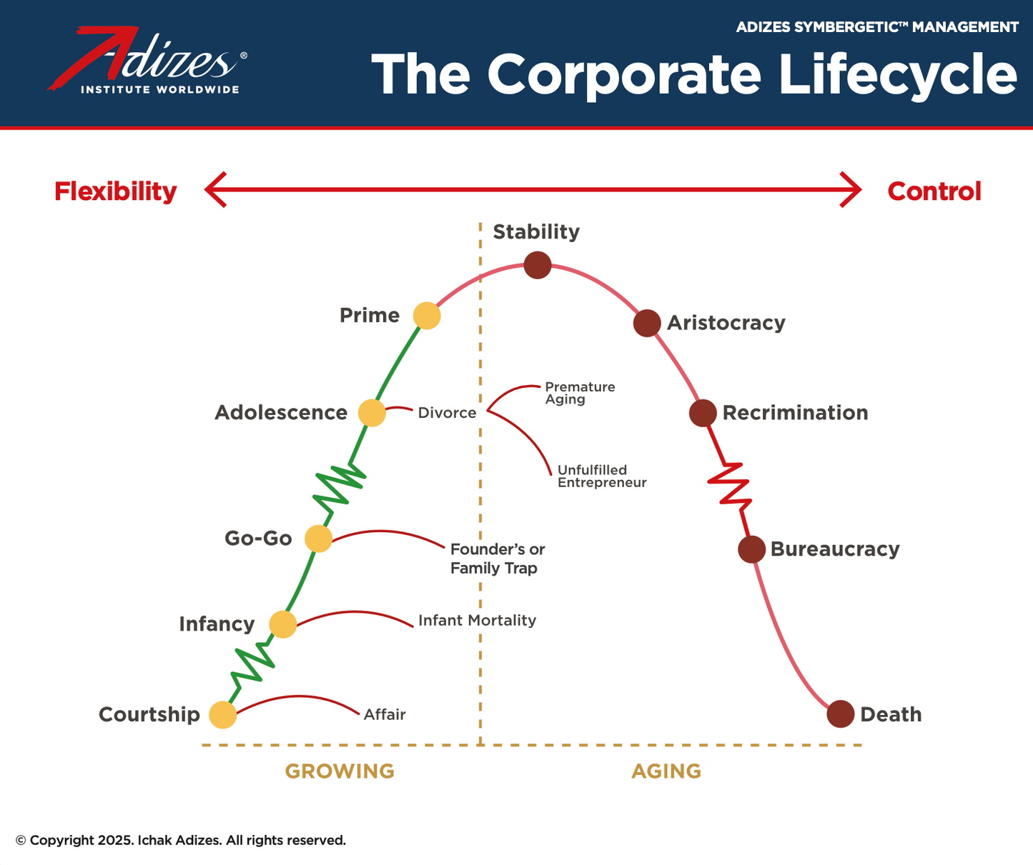 Adizes Organizational Lifecycle -Simple (Poster) (English)