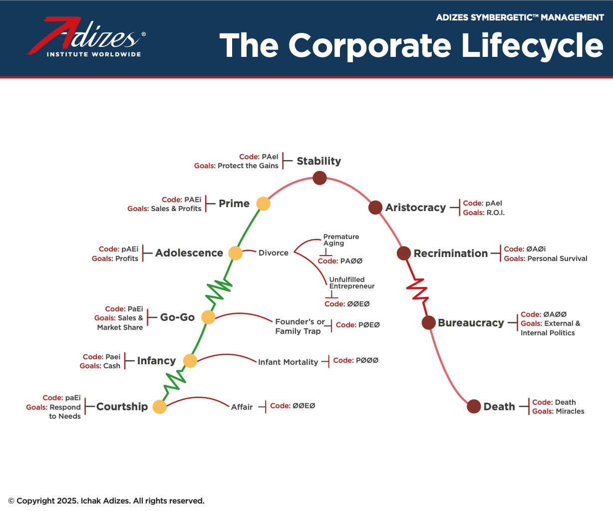 Adizes Organizational Lifecycle -Codes (Poster) (English) – Adizes ...