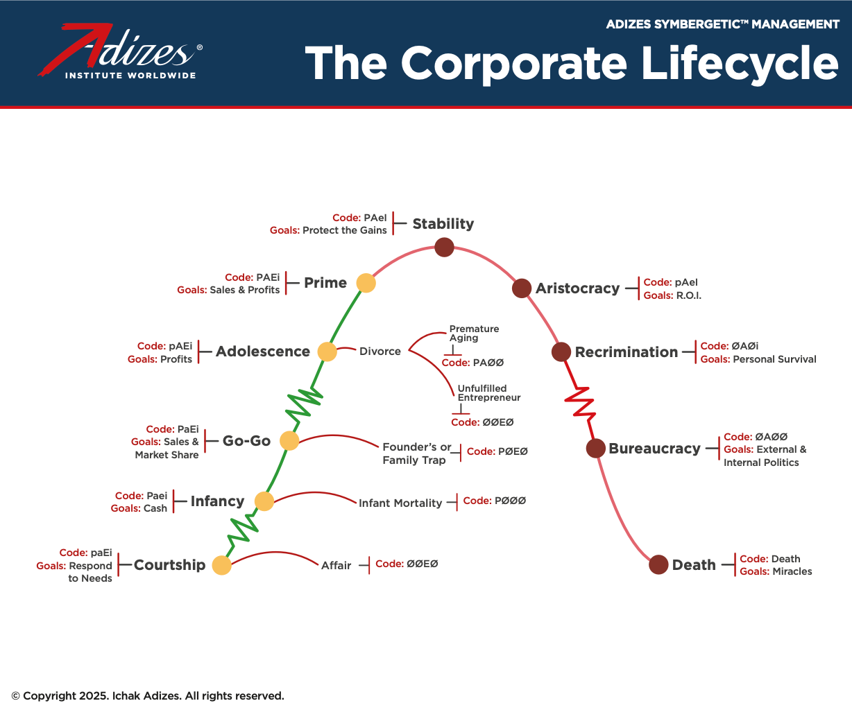 Adizes Organizational Lifecycle -Codes (Poster) (English)