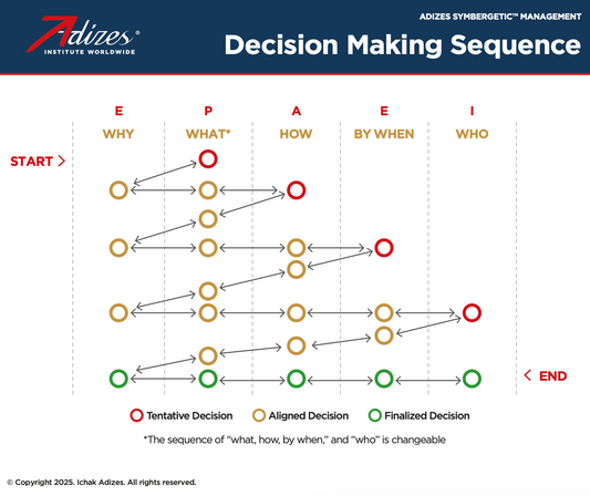 Decision Making Sequence (Poster) (English)