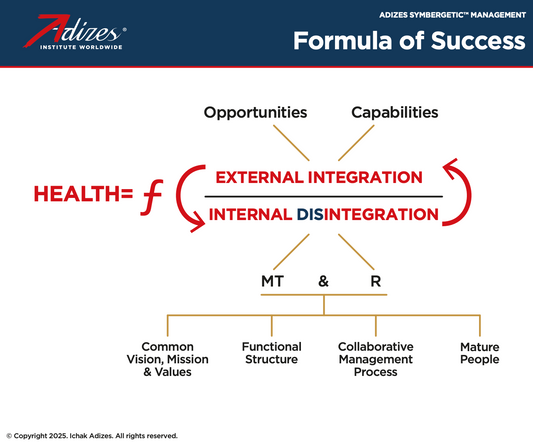 Formula of Success (Poster)