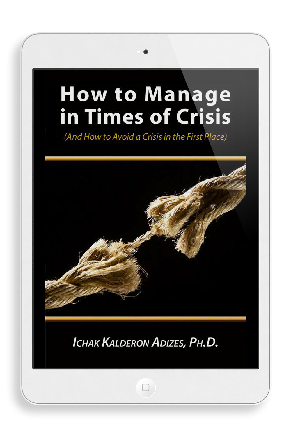 How to Manage in Times of Crisis (English) (e-Book)