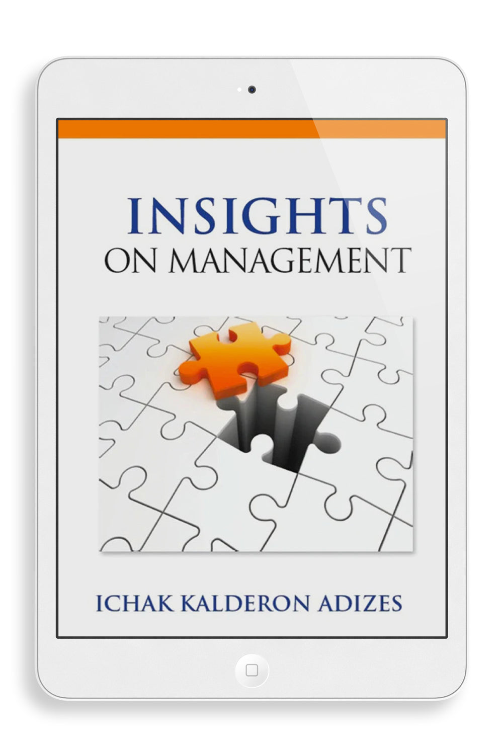 Insights On Management: Volume 1 (English) (e-Book)