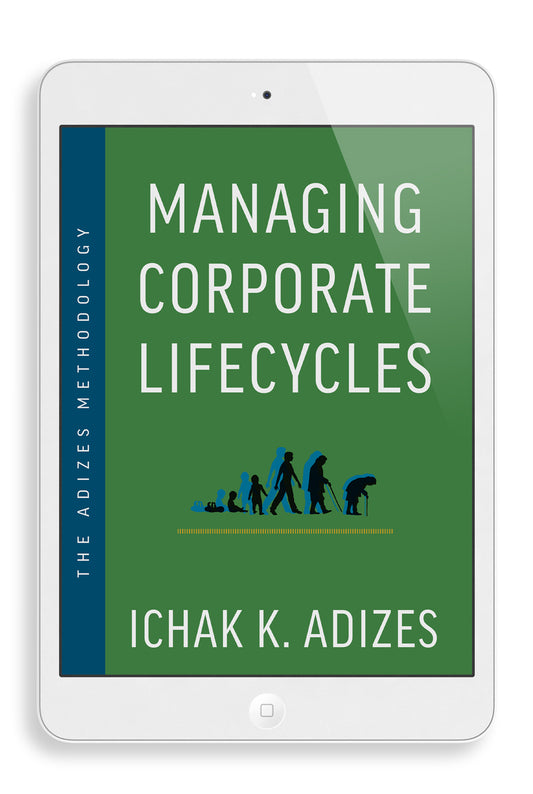 Managing Corporate Lifecycle (English) (e-book)