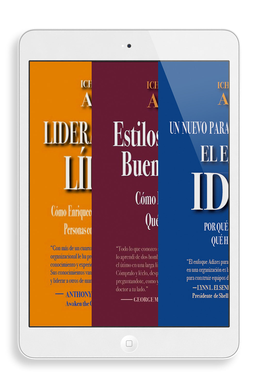 Set Liderazgo (Spanish) (eBook)