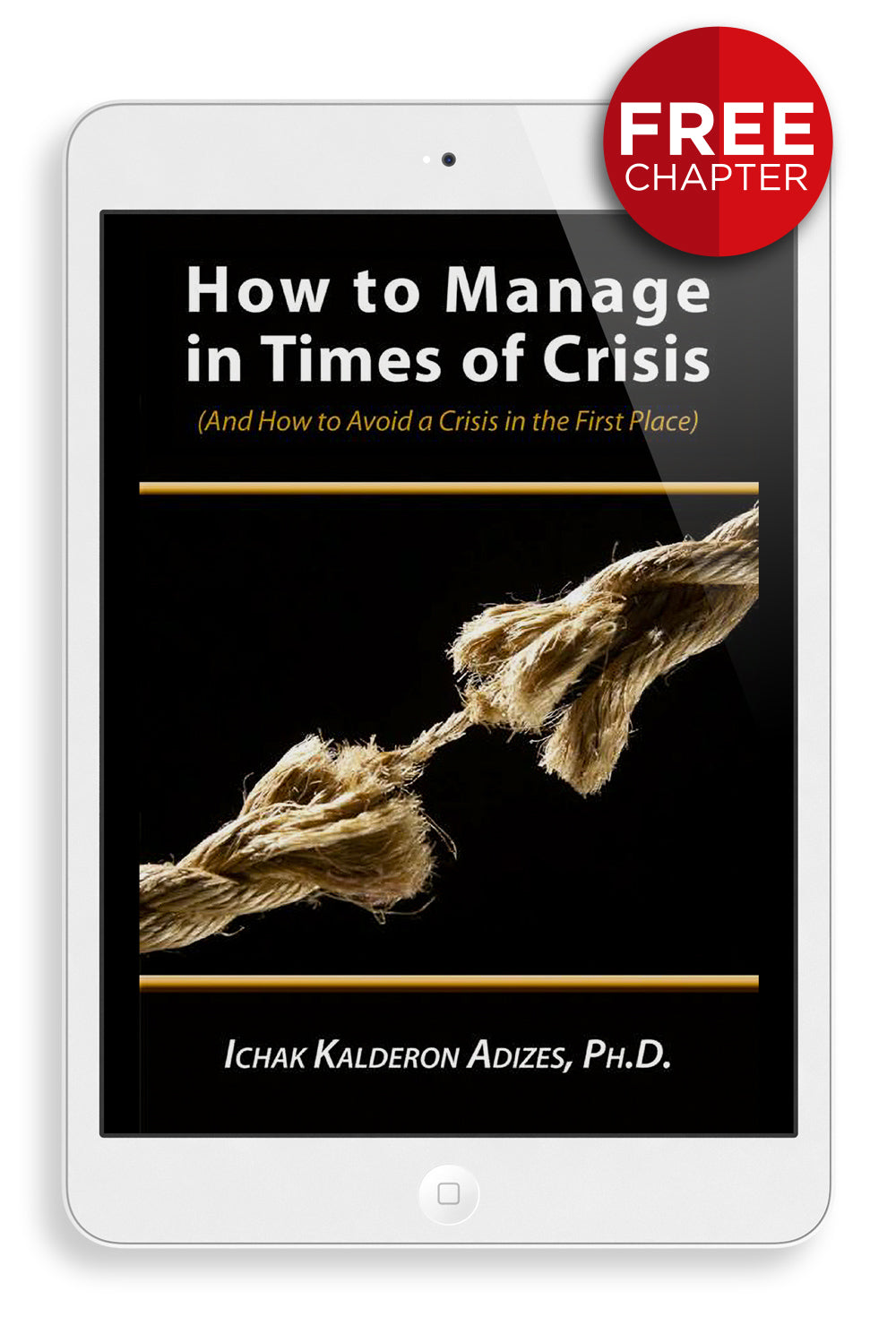 How to Manage in Times of Crisis (English) - Free chapter