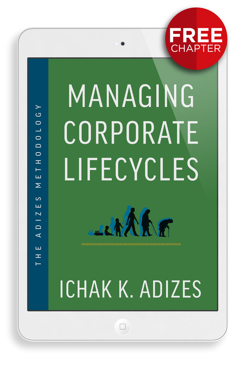 Managing Corporate Lifecycle - Free Chapter