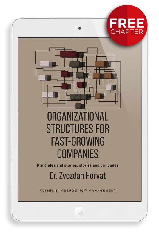 Organizational Structures for Fast-Growing Companies - Free Chapter