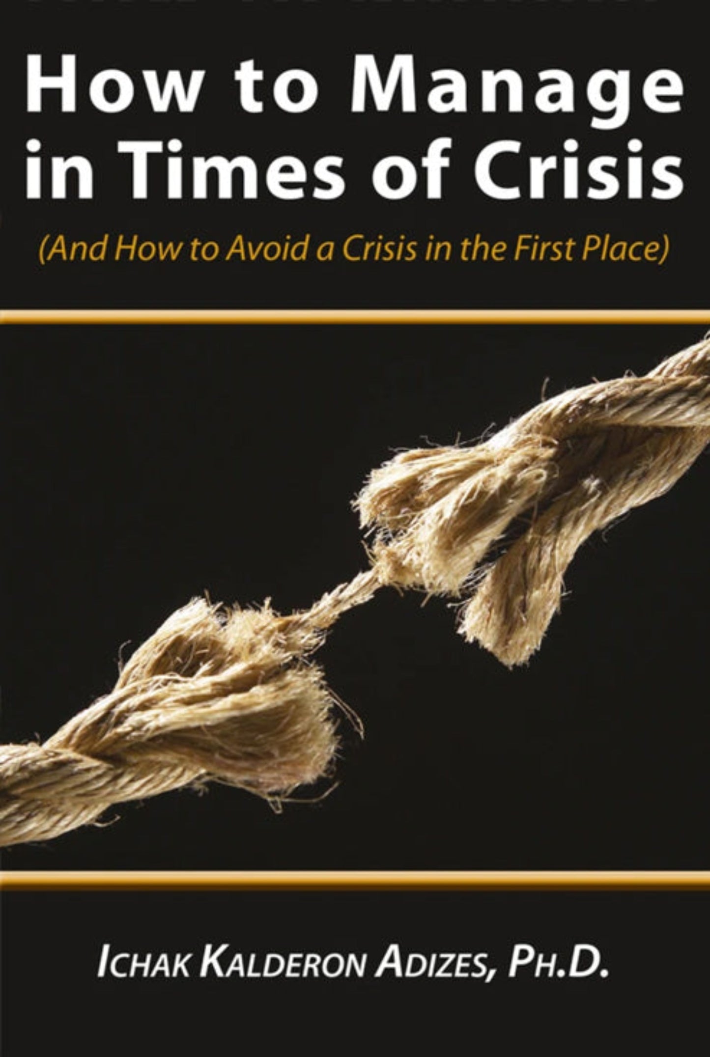 How to Manage in Times of Crisis (English) - Free chapter