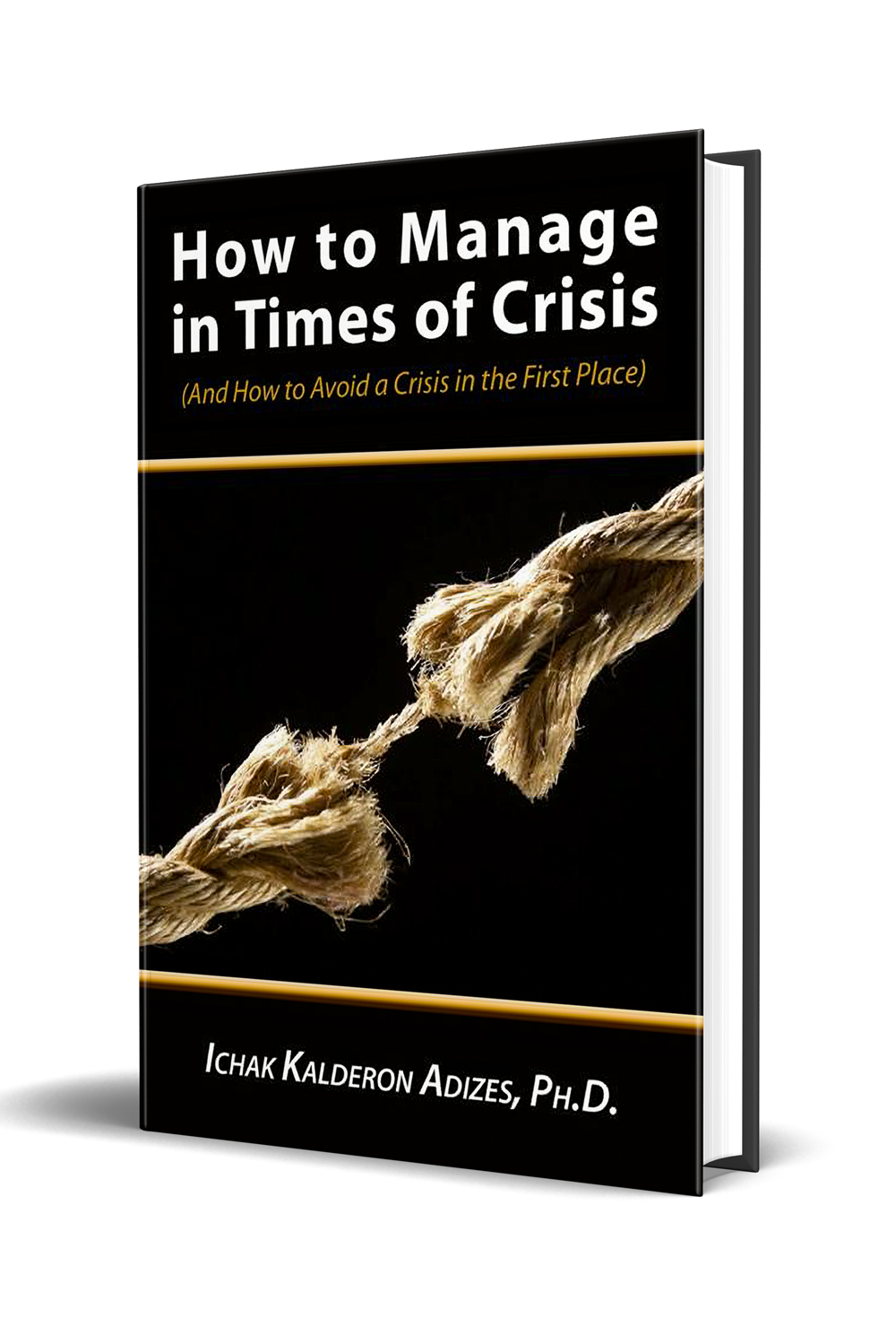 How to Manage in Times of Crisis (English)