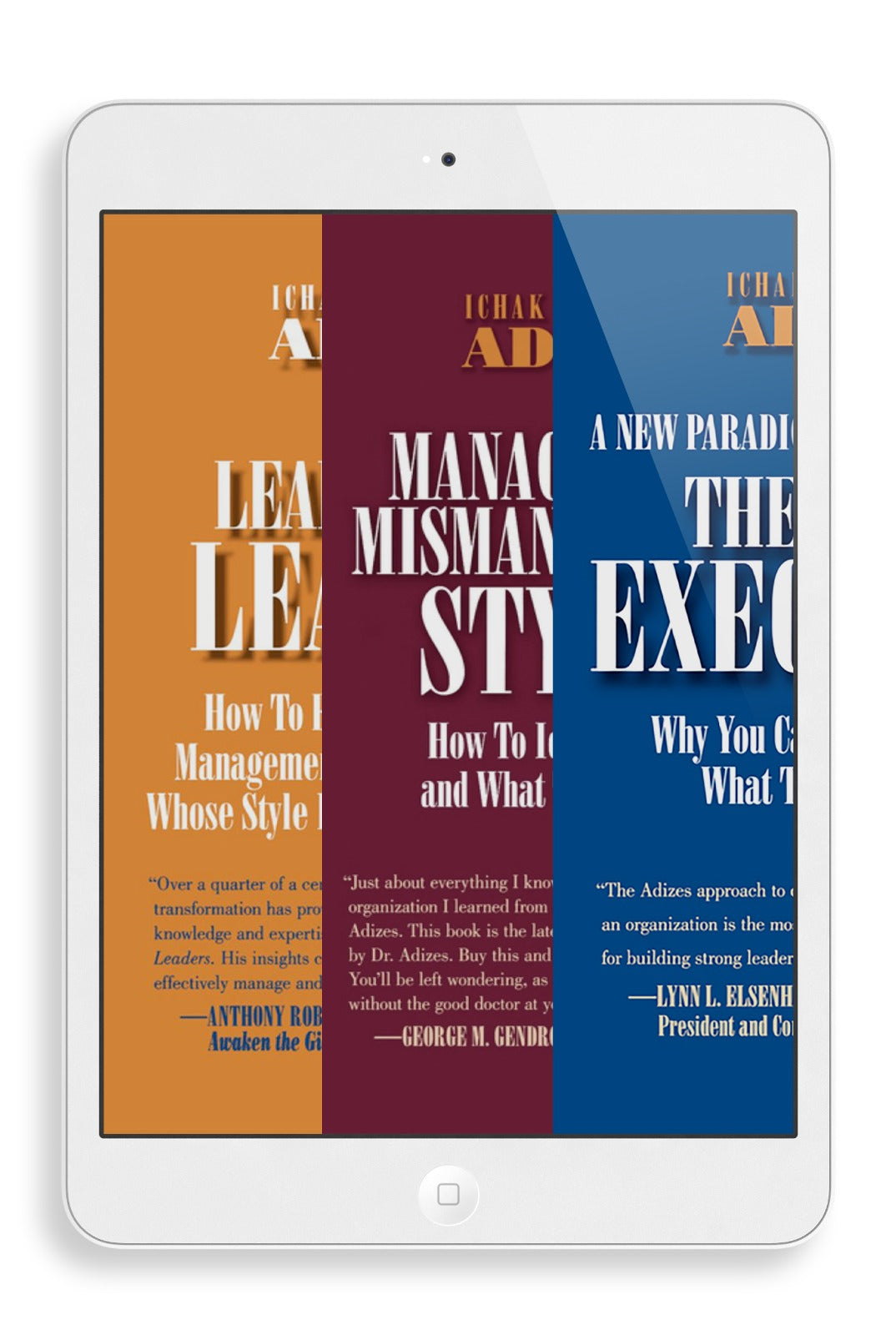 Leadership Set (English) - Ebook